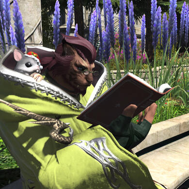 Final Fantasy 14 screenshot: A lion tiger person with auburn fur and dark red mane in a robe is reading a book. On his shoulder sits a little nutkin eating a snack.