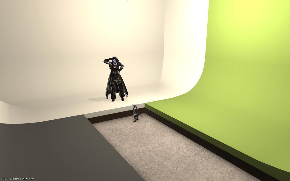 Final Fantasy 14 screenshot: Huge studio wall combination with round edges at the side, positioned in a U shape. The main part is white, the right one is green and the left one is grey. A big cat lady in a gothic style gown and pants is posing in there wit